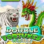 Double Fortune game icon